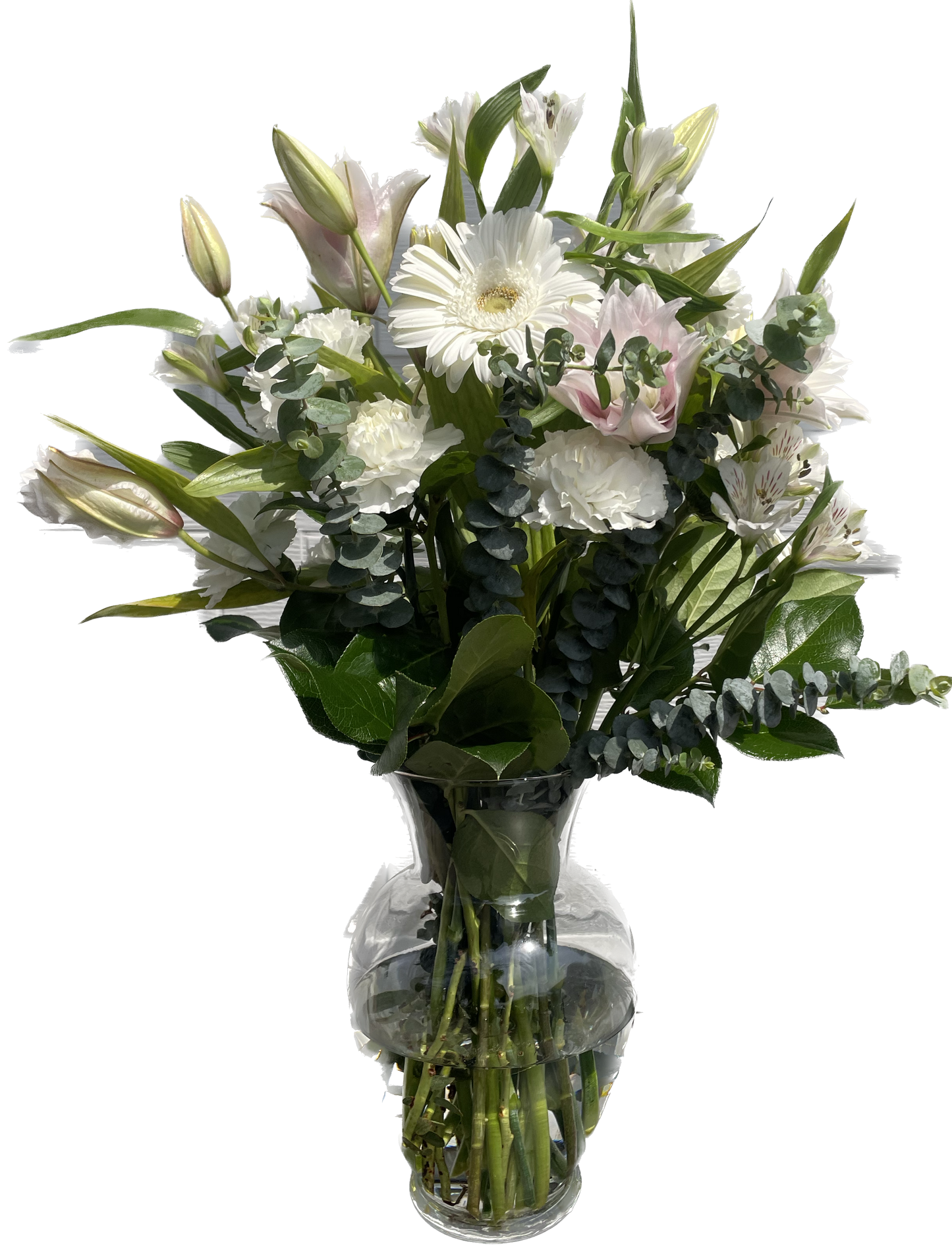 Whisper Lily
