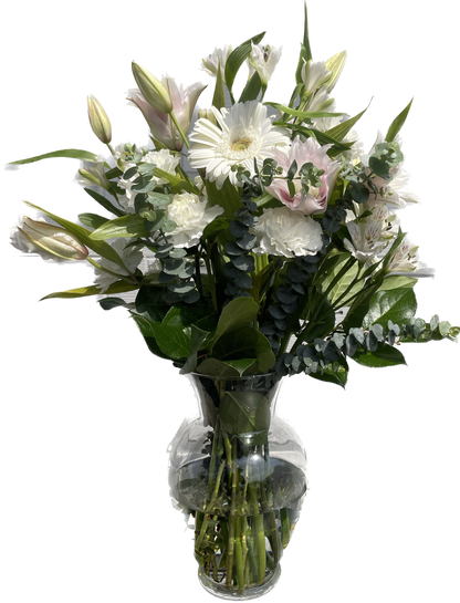 Whisper Lily